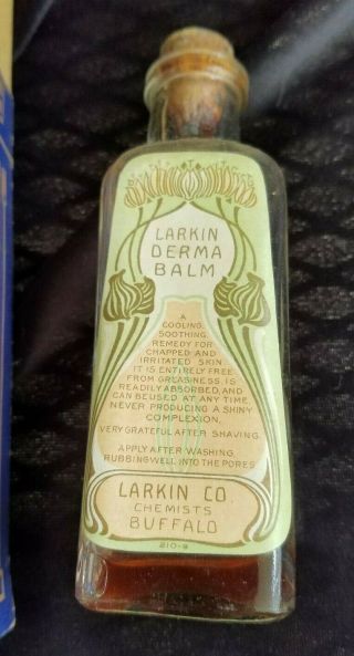 Old Advertising Box & Bottle Larkin Derma Balm Larkin Co Chemists Buffalo NY 2