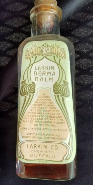 Old Advertising Box & Bottle Larkin Derma Balm Larkin Co Chemists Buffalo NY 3