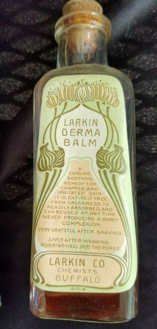 Old Advertising Box & Bottle Larkin Derma Balm Larkin Co Chemists Buffalo NY 4