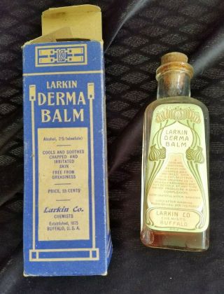 Old Advertising Box & Bottle Larkin Derma Balm Larkin Co Chemists Buffalo NY 5