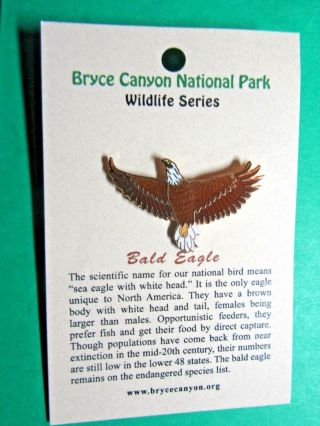 Bald Eagle Bryce Canyon National Park Wildlife Series Lapel Hat Pin (52)