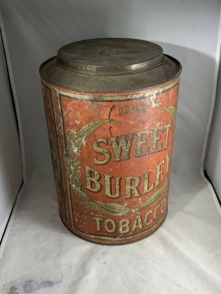 Vintage Sweet Burley Tobacco Counter Tin Round Top