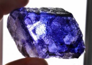 5.  2cm Purple Fluorite From Santa Teresa Mountains,  Arizona,  Usa 13597