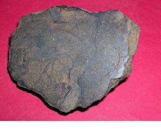 Al Haggounia 001 Meteorite: 89.  2 Gram Polished End Cut