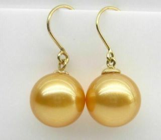 Huge Aaaaa 16mm South Sea Golden Shell Pearl Earring 14k Solid Gold