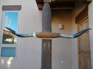 Pretty 5 Foot 11 Inch Mounted Steer Longhorn Polished Mount Bull Horns Cow