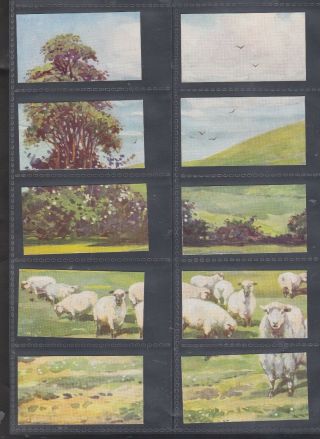 20 Sectional Cig Cards.  E&w Anstie 1938.  The White Horse On Wiltshire Downs (j24p)