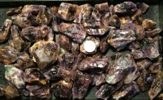 Ocl - Brazilian Cacoxenite In Amethyst Rough - Cabbing/tumbling - 5.  00 Lbs.