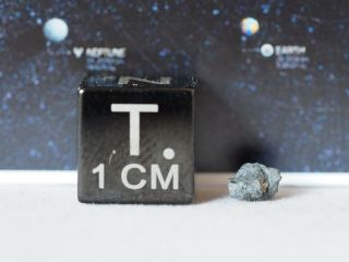 Karoonda Meteorite - Type Specimen Of The Ck Chondrites