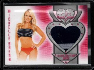 Michelle Baena 2014 Benchwarmer Eclectic Swatch