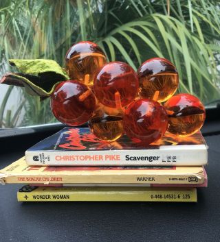 Vintage Lucite Grapes Mid Century Lucite Amber Orange Table Grapes