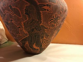 12” Sgraffito Black On Red Stephanie Antonio Vase/Pot,  Acoma Native American 1995 6