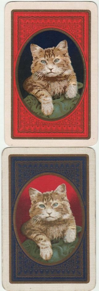 Vintage Ginger Tabby Cat In Oval Frame (2) Swap/playing Cards