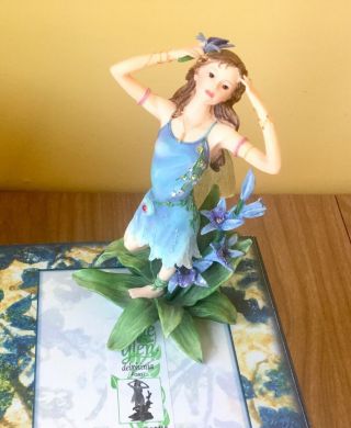 Fairy Figurine Faerie Glen & Box 5” Delphinia