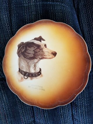 Commemorative Plate Dog St Olaf,  Iowa