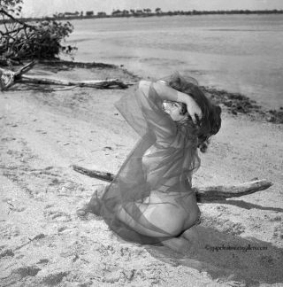 Bunny Yeager 1950s Pin - Up Camera Negative Photograph Lovely Beach Babe Model