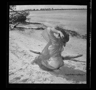 Bunny Yeager 1950s Pin - Up Camera Negative Photograph Lovely Beach Babe Model 2