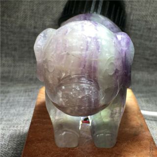 1.  65lb Natural Fluorite Pig Hand Carved Crystal Healing Hok1192