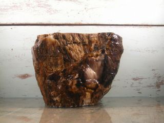 Yb Natural Petrified Opalized Wood Fossil Rough Lapidary.  8lbs 7oz {l12fg}
