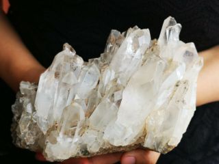 4lb Natural White Quartz Cluster Crystal Vug Point Healing Q457