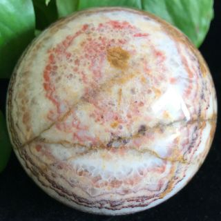 Natural Rhodochrosite Quartz Crystal Ball Polished Specimen Reiki Heal 914g B11 5