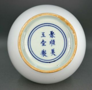 Fine Old Chinese Porcelain White Crackle Glaze Bottle Vase 10