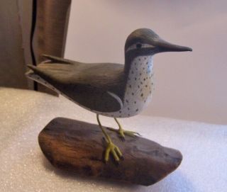Vintage Hand Carved And Painted Wood Statue Shore Bird Decoy By Roesser