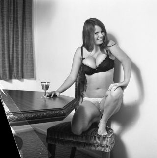 1960s Castano Negative,  Busty Pin - Up Girl Lois Harmon In Bra & Panties,  T237371