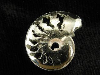 A Little Polished 100 Natural AAA PYRITE Ammonite Fossil From Russia 8.  70 e 3