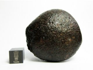Nwa X Meteorite 96.  86g Cool Cosmic Chondrite
