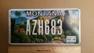License Plate,  Montana,  Zoo City,  Bear,  Rainbow Trout,  Azh 683
