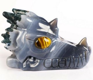 5.  0 " Gray & White Agate Carved Crystal Dragon Skull,  Tiger Eye Eyes,  Healing