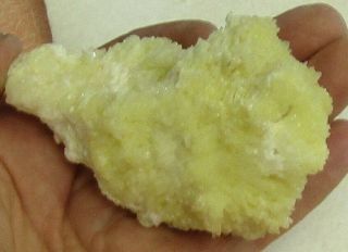 MINERAL SPECIMEN OF NOVACEKITE (RADIOACTIVE) ON ARAGONITE FROM MEXICO 2