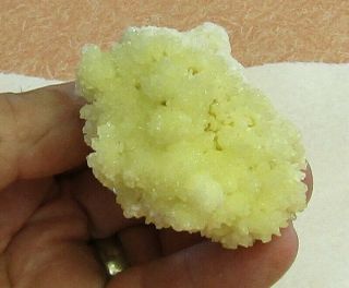 MINERAL SPECIMEN OF NOVACEKITE (RADIOACTIVE) ON ARAGONITE FROM MEXICO 4