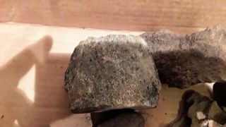 6,  LBS FOSSILIZED WHALE VERTEBRAE & MORE FROM WACCAMAW RIVER SC 2
