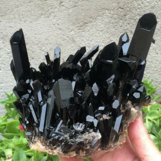 819g Natural Black/smoky Quartz Cluster Crystal Specimen Healing