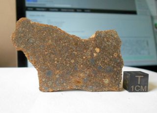 Meteorite Nwa 12009 (ll3) - 22.  1 G