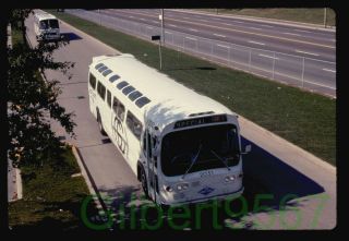 Gray Coach (canada) Bus Slide 2051 Taken 1976
