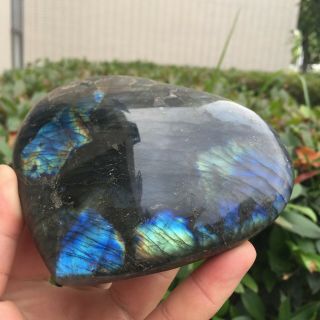 916g Natural Heart - Shaped Labradorite Quartz Crystal Energy Healing Flh67