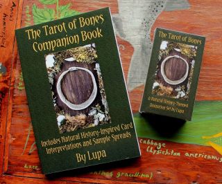 The Tarot Of Bones Deck And Book Set - And Signed By Lupa