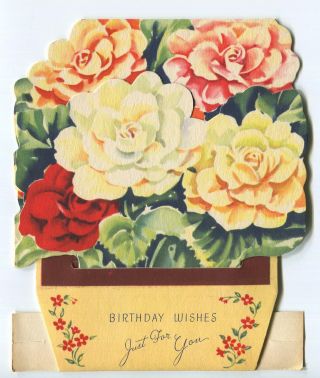 Vintage Yellow Pink Red White Begonia Flowers Potted Plant Stand Up Card Print