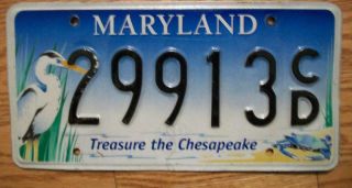 Single Maryland License Plate - 29913cd - Treasure The Chesapeake