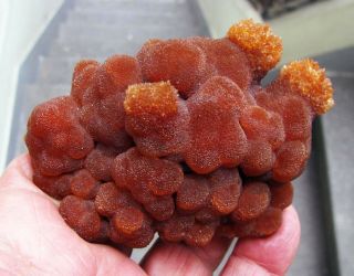 Aragonite Botryoidal Red To Orange Crystals On Matrix From PerÚ.  Wonderful Piece