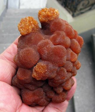 ARAGONITE BOTRYOIDAL RED to ORANGE CRYSTALS on MATRIX from PERÚ.  WONDERFUL PIECE 3
