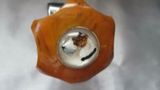 Vintage Bakelite Wire Fox Terrier Dog Glass Intaglio Steering Knob /gift Bag
