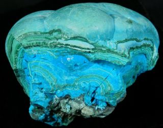 A Big Bright Blue Chrysocolla Stalagmite With Malachite From Zaire 234gr E