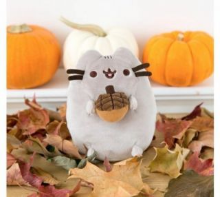 Culture Fly Exclusive Pusheen October 2017 Mini Cat Plush With Acorn