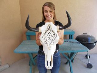Painted Bull Skull W/ Polished 19 " Horns,  Cow Head Steer,  Mounted,  Authentic