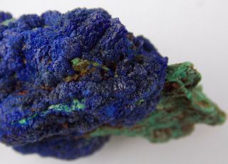 Azurite Crystals W/ Malachite - 4.  4 Cm - Little Daisy Mine,  Jerome,  Arizona 22413