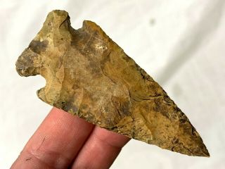 Exceptional Turin Point Boone Co. ,  Missouri Authentic Arrowhead Artifact Mb16